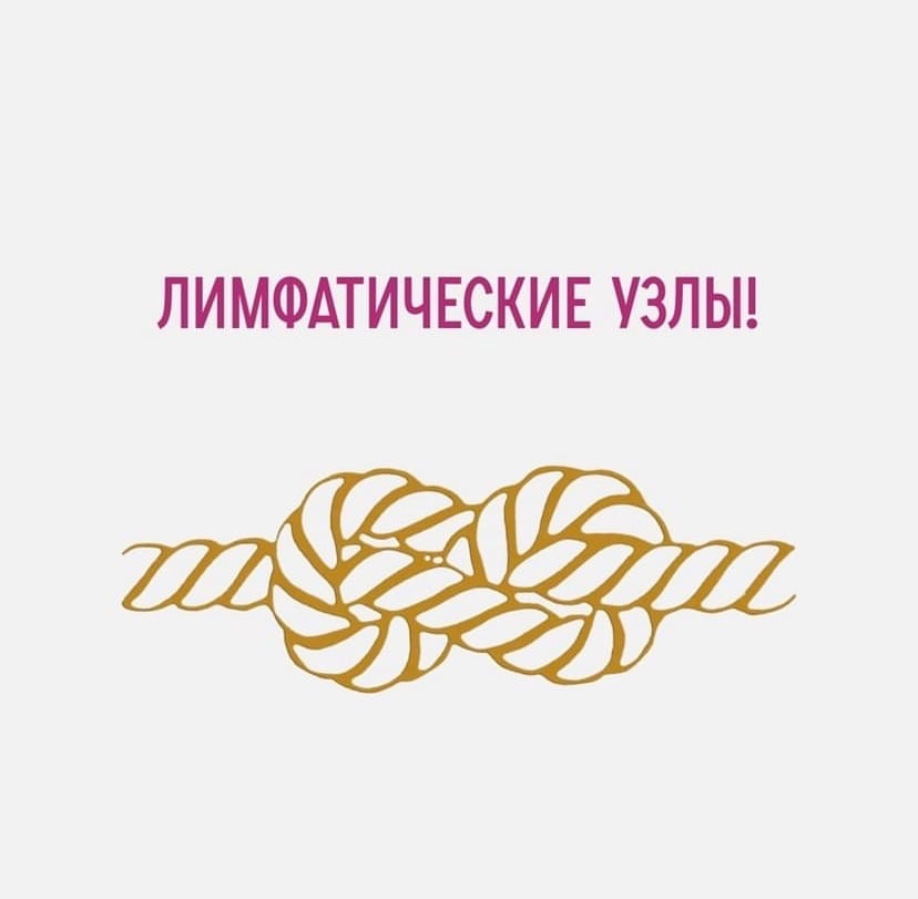 Лимфатические узлы (ЛУ)