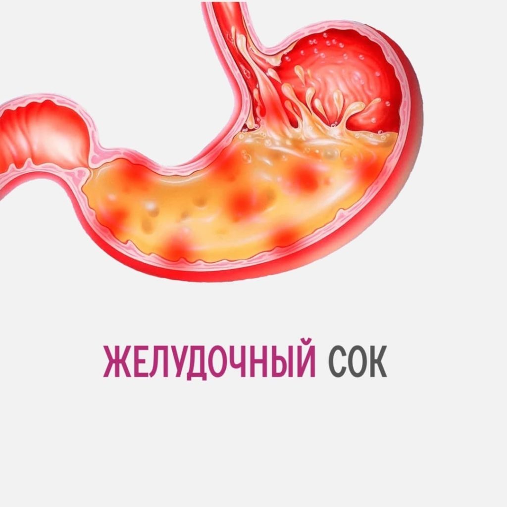 Желудочный сок